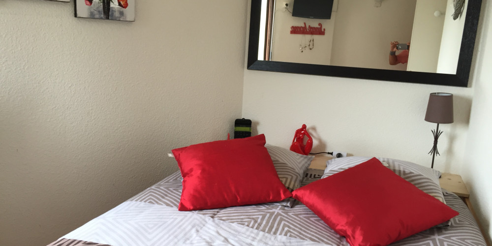 appartement à ST LARY SOULAN (65170)